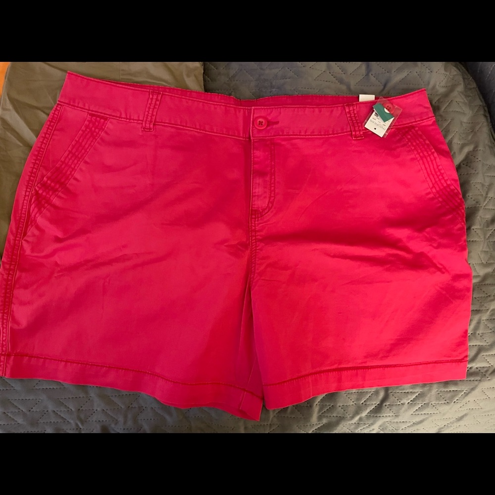 NWT! Beautiful fuchsia Shorts!